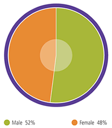 Group gender representation