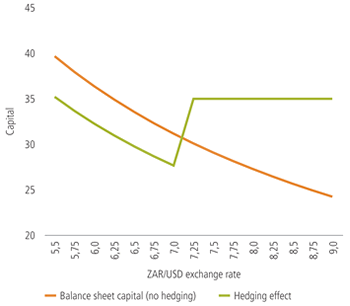 US$ capital before and after hedging